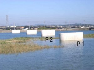 市道岩鼻中野開作線道路改良工事(ＪＶ)