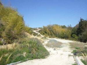 岩国大竹道路室の木アクセス第2改良工事