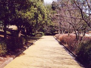 江汐公園都市公園整備工事　第1工区