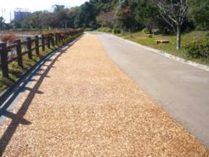 常盤公園整備工事