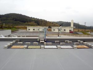 環境改善対策効果確認試験