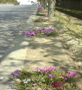 透塊ソイル施工手順6