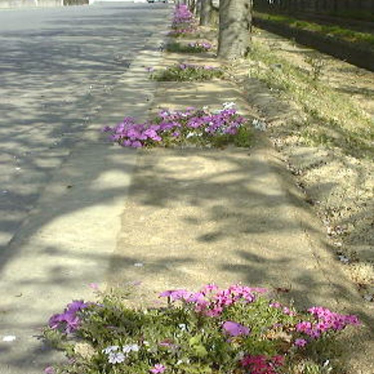 透塊ソイル施工手順6